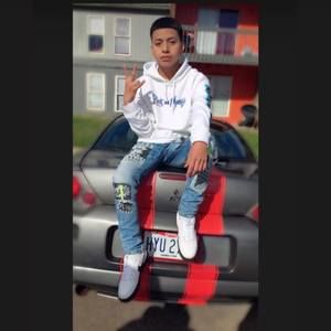 Meet your Posher, Pedro